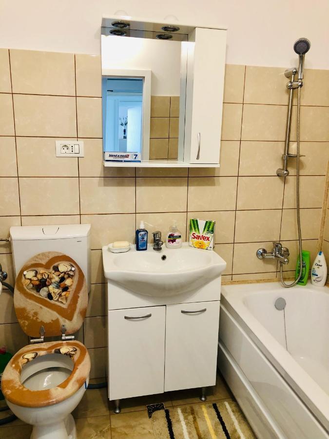 Joy City Stay Ionel Perlea 19 Temešvár Exteriér fotografie
